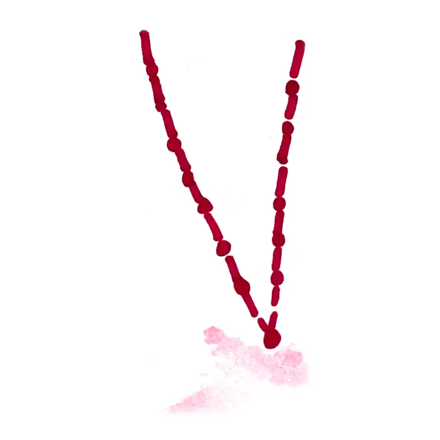Crimson Thread Necklace